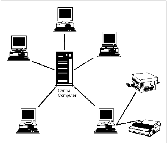 Star Bus Network