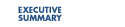 Executive Summary Button