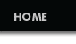 Home Button