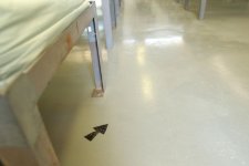 Arrow in a Camp 4 barracks room at Camp Delta, Naval Station Guantanamo Bay, Cuba, points the direction to Mecca