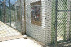 The recreation yards in Camp Delta, Naval Station Guantanamo Bay, Cuba, include exercise equipment for the detainees