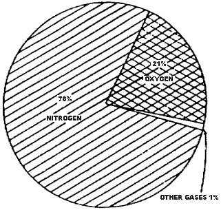 Figure 1.1.  Composition of the Atmosphere