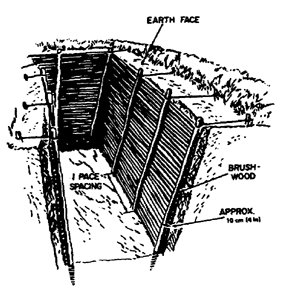Figure 2-19.  Continuous brush revetment