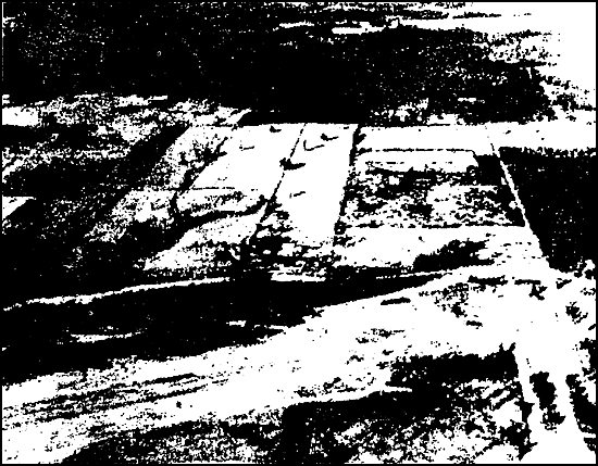 Figure 5-2.  Trees bordering air strips cut in irregular patterns rather than in straight lines, to avoid creating a tell-tale pattern.