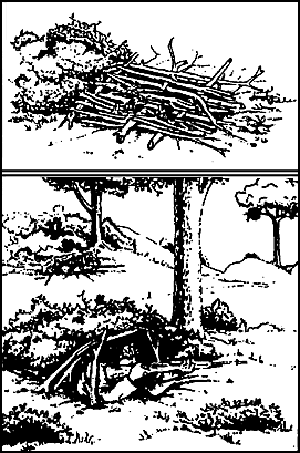 Figure 5-6.  Camouflage using natural materials.