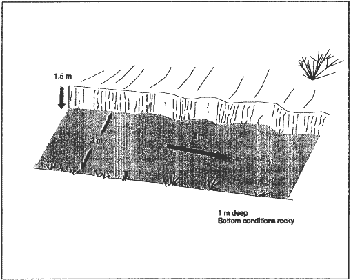 Figure PE 2-1.  Water obstacle