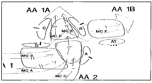 Figure 3-9.  SITEMP/maneuver analysis