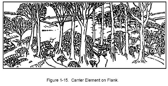 Figure 1-15. Carrier Element on Flank.