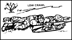 Figure 1-23.   The crawl