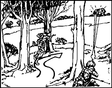 Figure 1-24.         Short rushes
