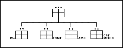 Figure 1-13. Battalion Medical Platoon.