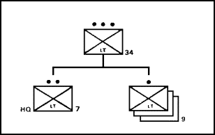 Figure 1-16. Rifle Platoon.