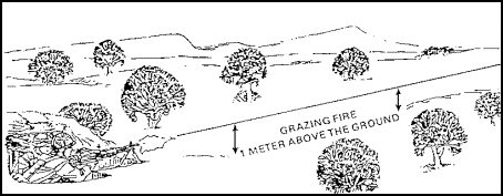 Figure 1-33. Grazing Fire.
