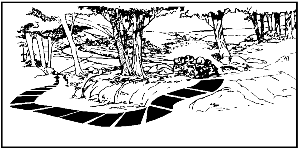 Figure 1-8. Antitank Weapon Positions.