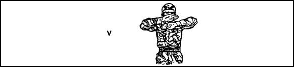 Figure 2-29. I DO NOT UNDERSTAND signal.