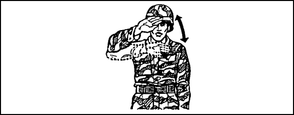 Figure 2-37. CEASE FIRING signal.