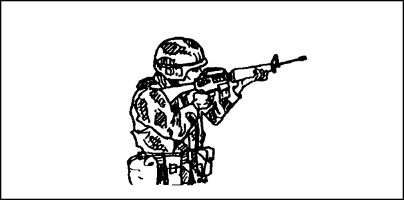 Figure 2-42. ENEMY IN SIGHT signal.
