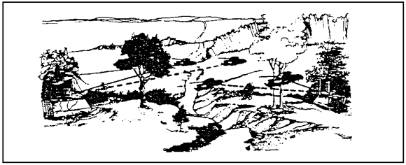 Figure 1-23.  Frontal Fire.