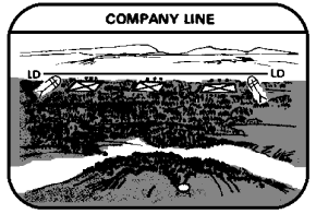 COMPANY LINE