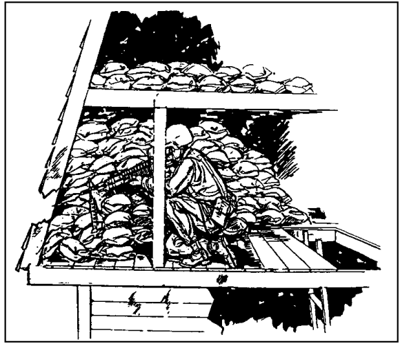 Figure 3-16.  Firing platform built under roof.