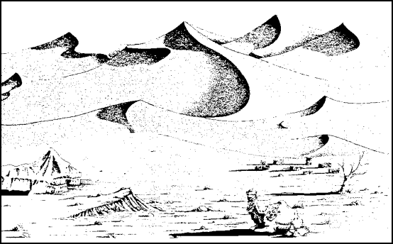 Figure 1-4.  Dune Desert - Western Sahara.