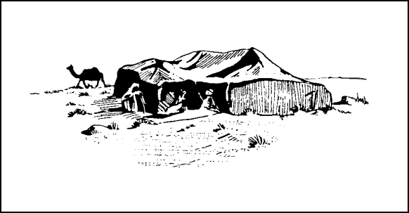 Figure 1-8.  Desert Nomad Tents.