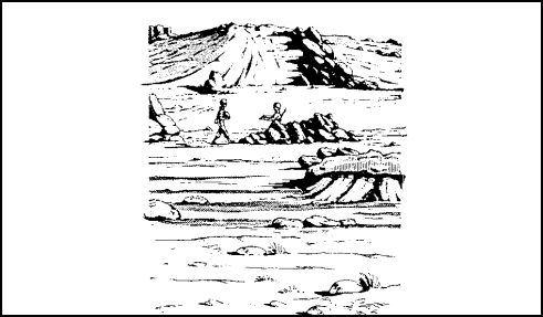Figure 2-1.    Desert Shelter.