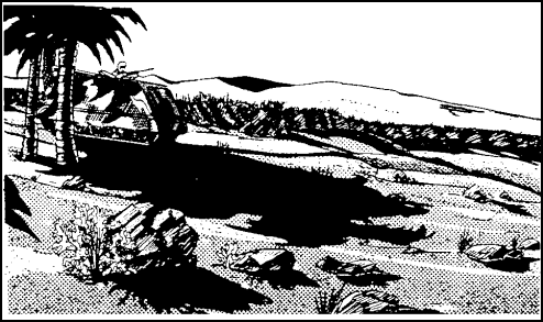 Figure 2-6.    Camouflage - Color and Texture.