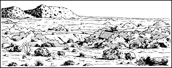 Figure 3-1.  Poor Observation Technique.