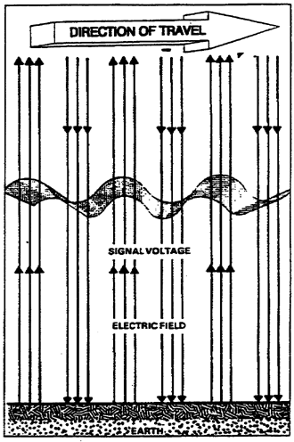 Figure 1-4.  Vertically polarized signal