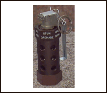 Figure L-20. M84 Stun Grenade