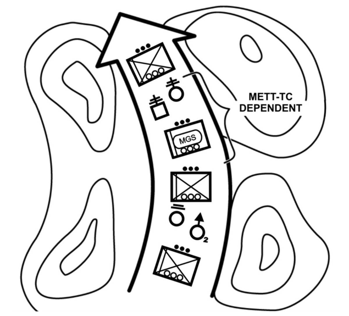 Figure 3-3. Traveling dismounted.
