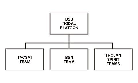 Figure 10-3. BSB nodal platoon structure.