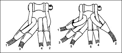 Figure 5-11. Sling leg-numbering sequence.