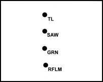 Figure 3-8. Fire team file.