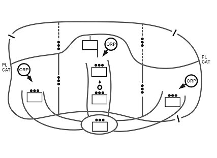 DRAFT Figure 4-7. Infiltration by platoon and section.