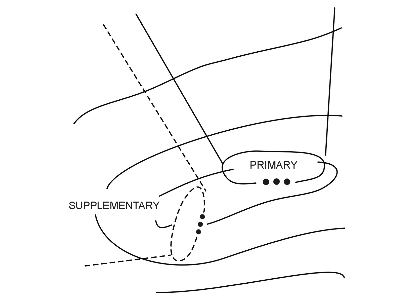 Figure 5-4. Supplementary position.