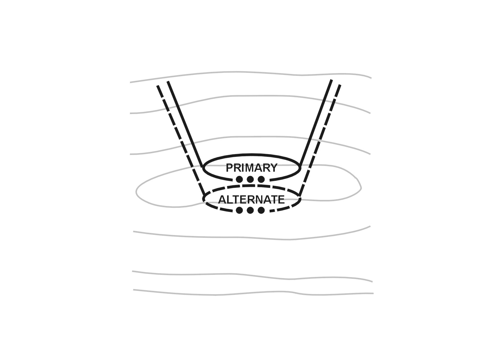 Figure D-1. Primary and alternate position.