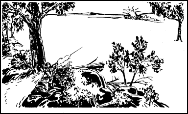 Figure 6-4. Single firing.
