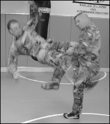 Figure 5-38. Leg sweep.