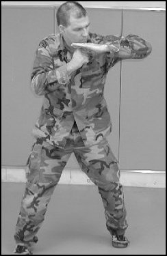 Figure 6-8. Horizontal elbow strike.