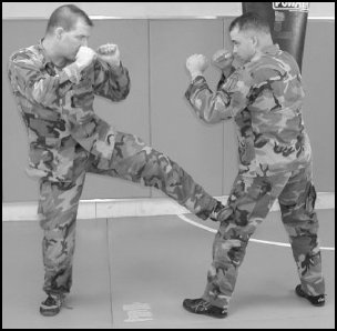 Figure 6-10. Lead leg front kick.