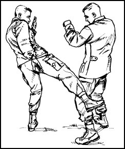 Figure 6-12. Shin kick to the outer thigh.
