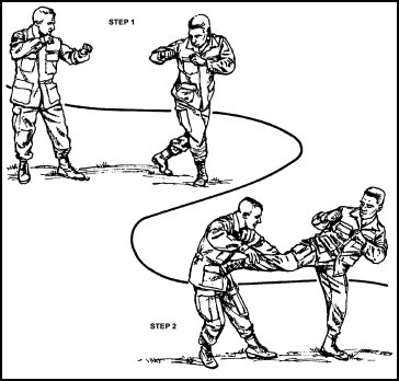 Figure 6-13. Stepping side kick.