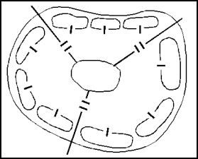 Figure 8-11. All Company Teams on the Perimeter
