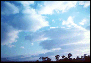Figure 1-1. Cumulus clouds.