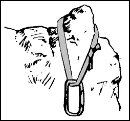 Figure 5-4. Rock projections.