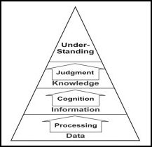 Figure B-1. The Cognitive Hierarchy