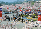 chinhae.gif (26709 bytes)