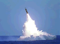 and submarines provide survivability